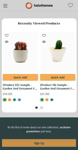 BigCommerce Add-on: Recently View Product Block