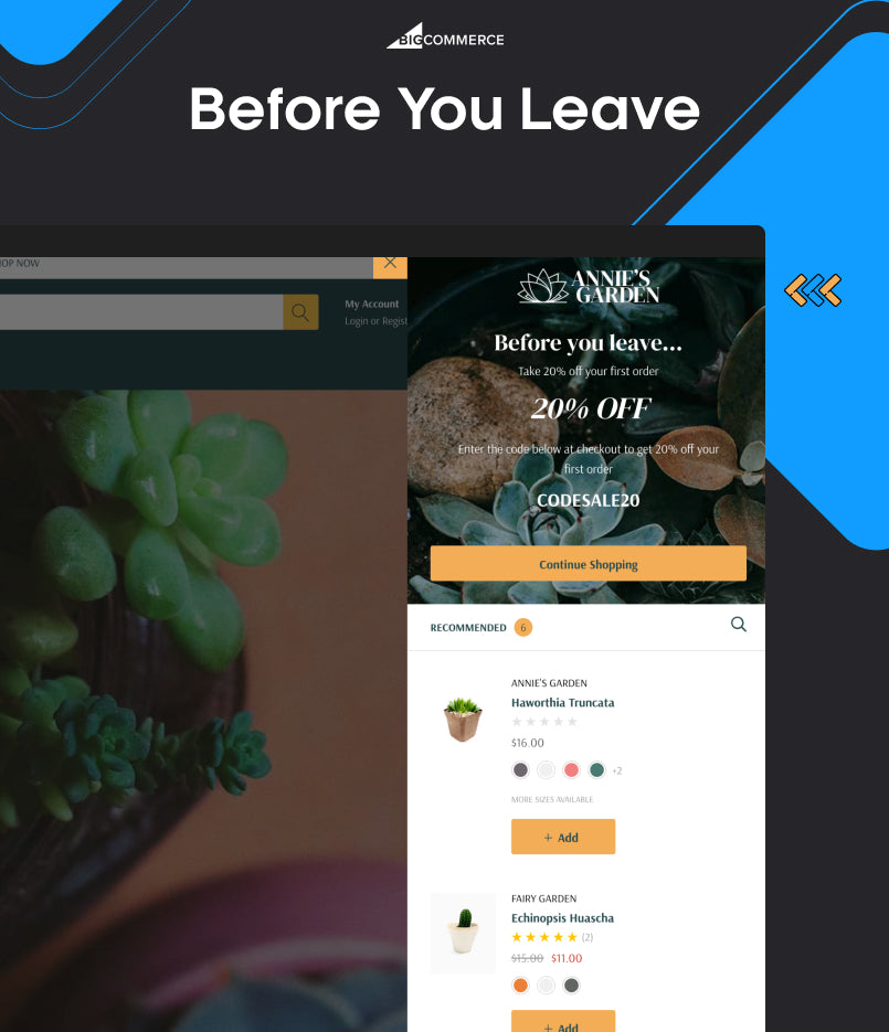BigCommerce Add-on: Before You Leave