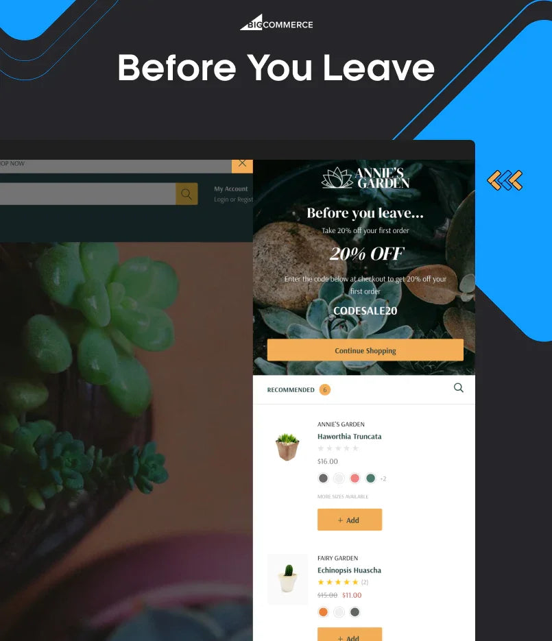 BigCommerce Add-on: Before You Leave