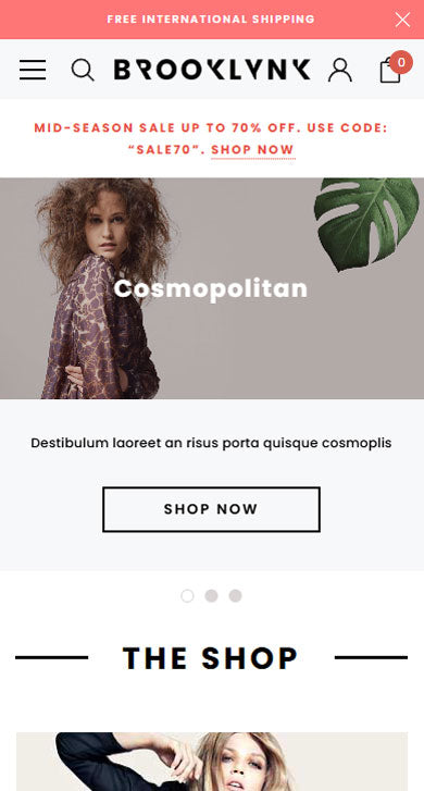 Brooklynk - Fashion BigCommerce Stencil Template