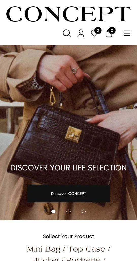 Concept - Jewelry and accessories - Ecommerce Website Template | Shopify