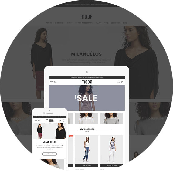 HaloThemes - Ecommerce Website Templates for Your Online Store