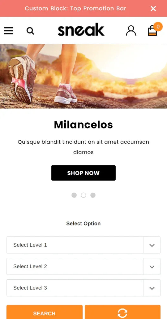 Sneak Shoes and Sport Ecommerce Website Template | HaloThemes