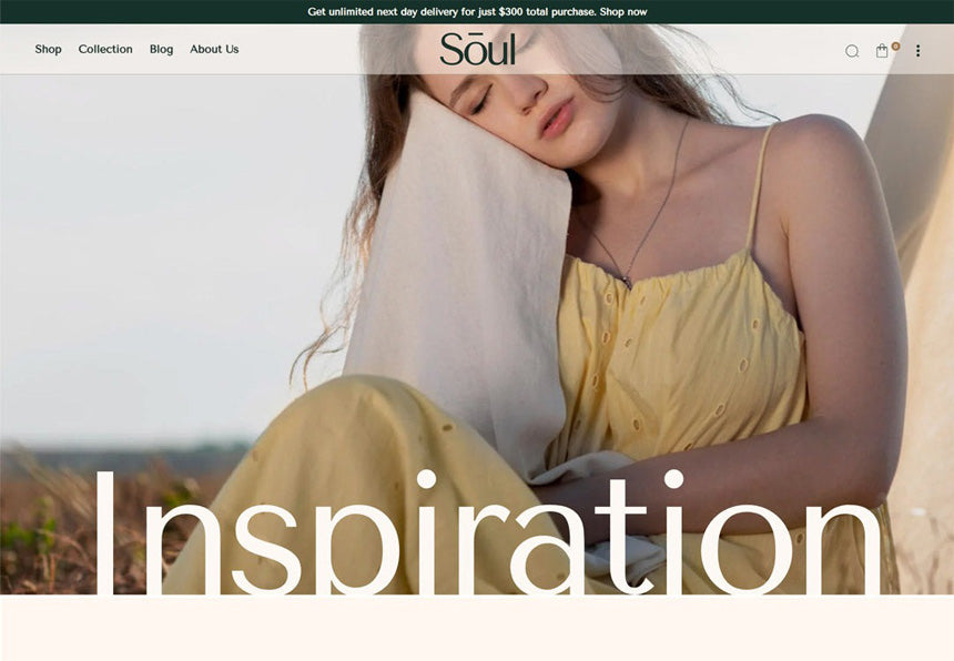 HaloThemes - Ecommerce Website Templates for Your Online Store