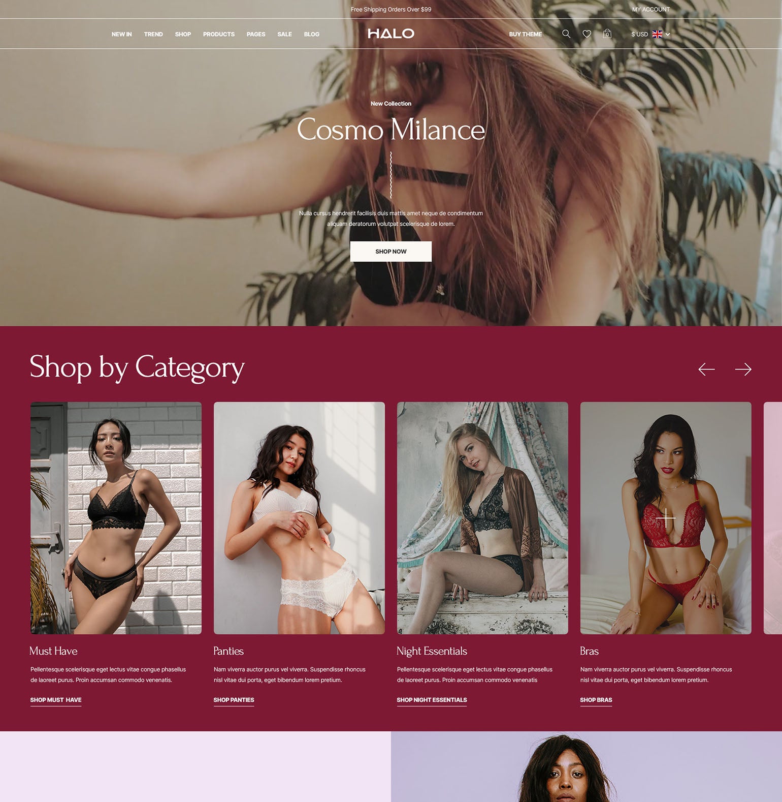 Halo Theme - Lingerie & Accessories Ecommerce Website Template