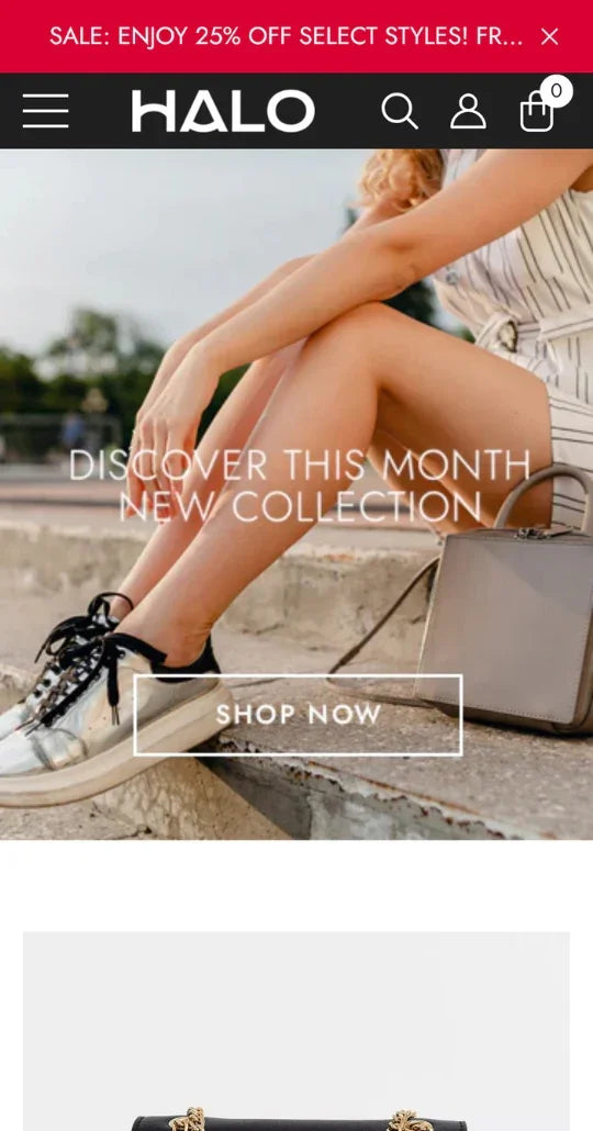 Halo Theme - Bags and Accessories Ecommerce Website Template - 2