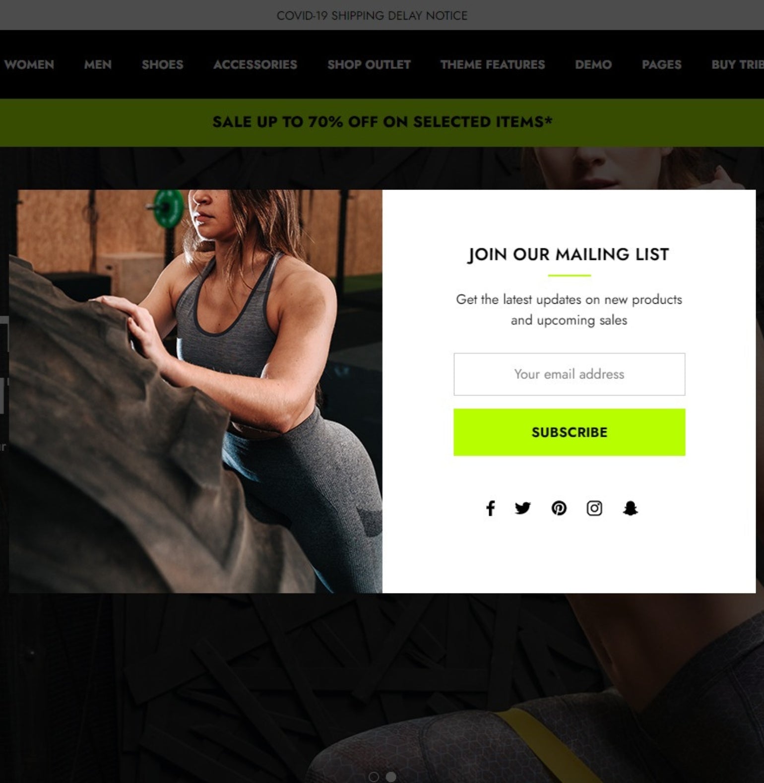 BigCommerce Add-on: Newsletter Pop-up