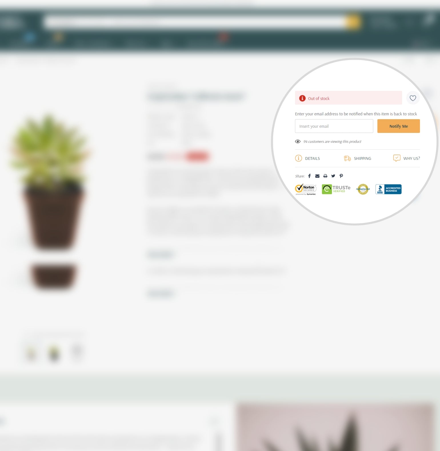Do not miss a single sale with Notify Me (Out of stock) add-on - Provide your customers an immediate feedback on time that particular product will be back to stock
