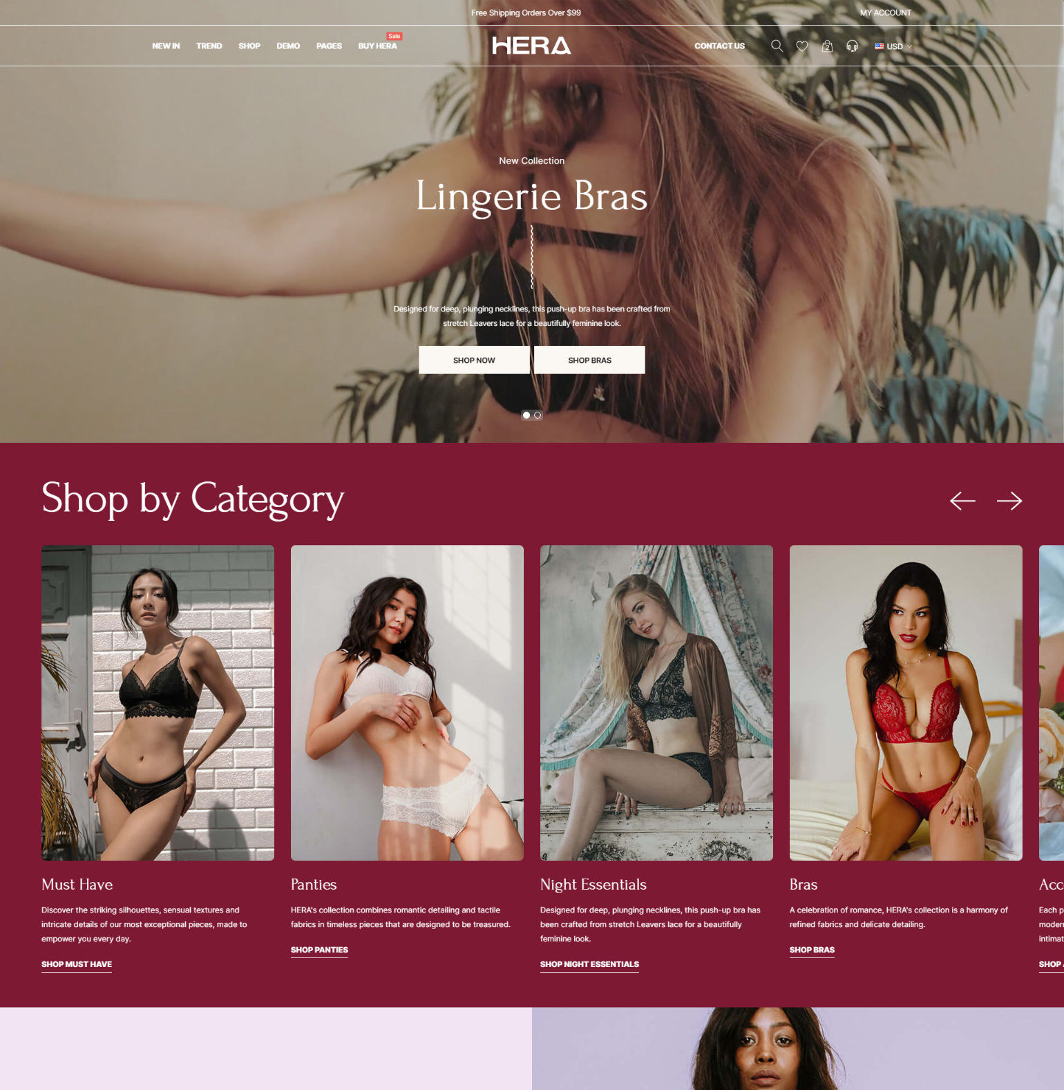 Hera Clothing and Accessories Ecommerce Template | HaloThemes